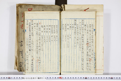 明い008010160004.jpg