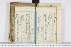 明い008010160010.jpg