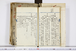 明い008010160015.jpg