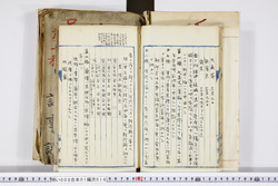 明い008010160016.jpg