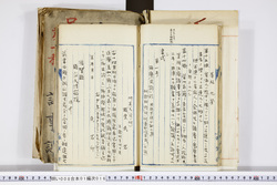 明い008010160019.jpg