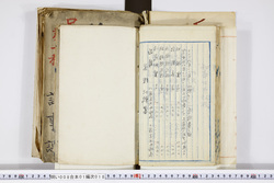 明い008010180006.jpg