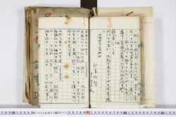明い008020020003.jpg
