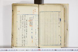 明い008030000005.jpg