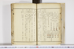 明い008030040004.jpg