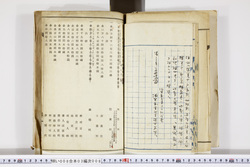 明い008030080002.jpg
