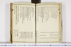 明い008030080003.jpg