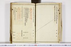 明い008030080004.jpg