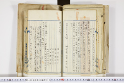 明い008030100004.jpg
