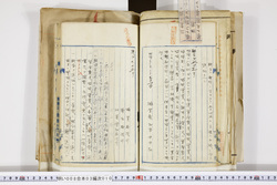 明い008030100005.jpg