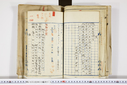 明い008030130002.jpg