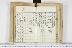 明い008030160004.jpg