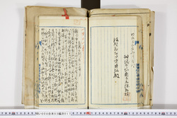 明い008030170029.jpg