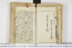明い008030170030.jpg