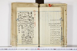 明い008030200013.jpg