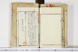 明い008030200022.jpg
