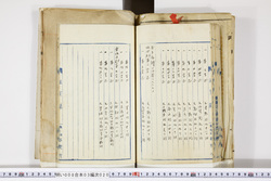 明い008030200024.jpg