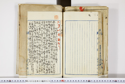 明い008030200025.jpg