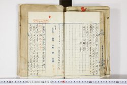 明い008030200030.jpg