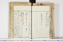 明い008030200034.jpg