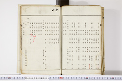 明い008030280014.jpg