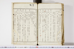 明い008030280022.jpg