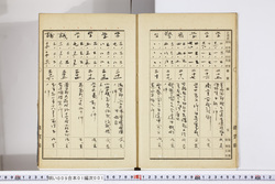 明い009010010005.jpg