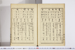 明い009010010006.jpg