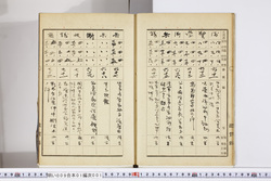 明い009010010008.jpg