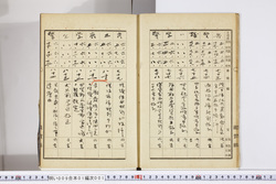 明い009010010009.jpg
