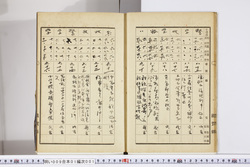 明い009010010010.jpg