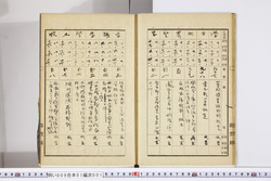 明い009010010011.jpg