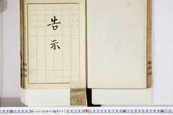 明い009020010002.jpg