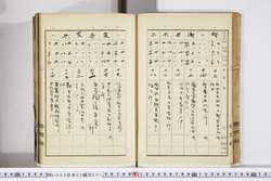 明い009020010004.jpg