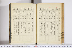 明い009020010007.jpg
