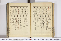 明い009030010003.jpg