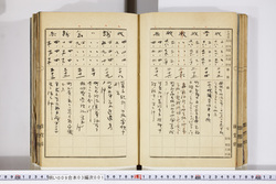 明い009030010004.jpg