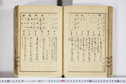 明い009030010005.jpg