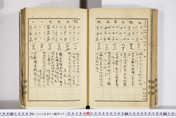 明い009030010007.jpg