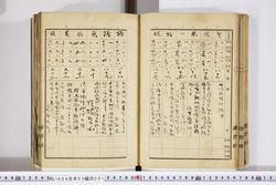 明い009030010009.jpg