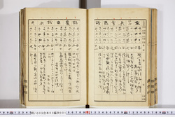 明い009030010011.jpg