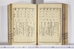 明い009050010003.jpg