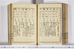 明い009050010004.jpg
