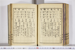 明い009050010005.jpg