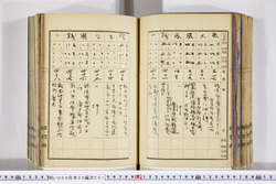 明い009050010006.jpg