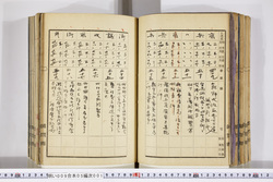 明い009050010007.jpg
