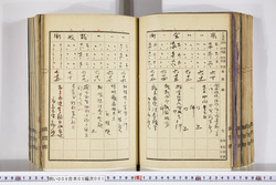 明い009050010008.jpg