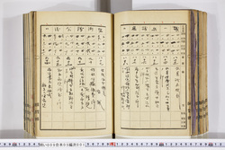 明い009050010010.jpg