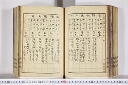 明い009050010011.jpg