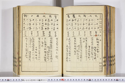 明い009050010013.jpg